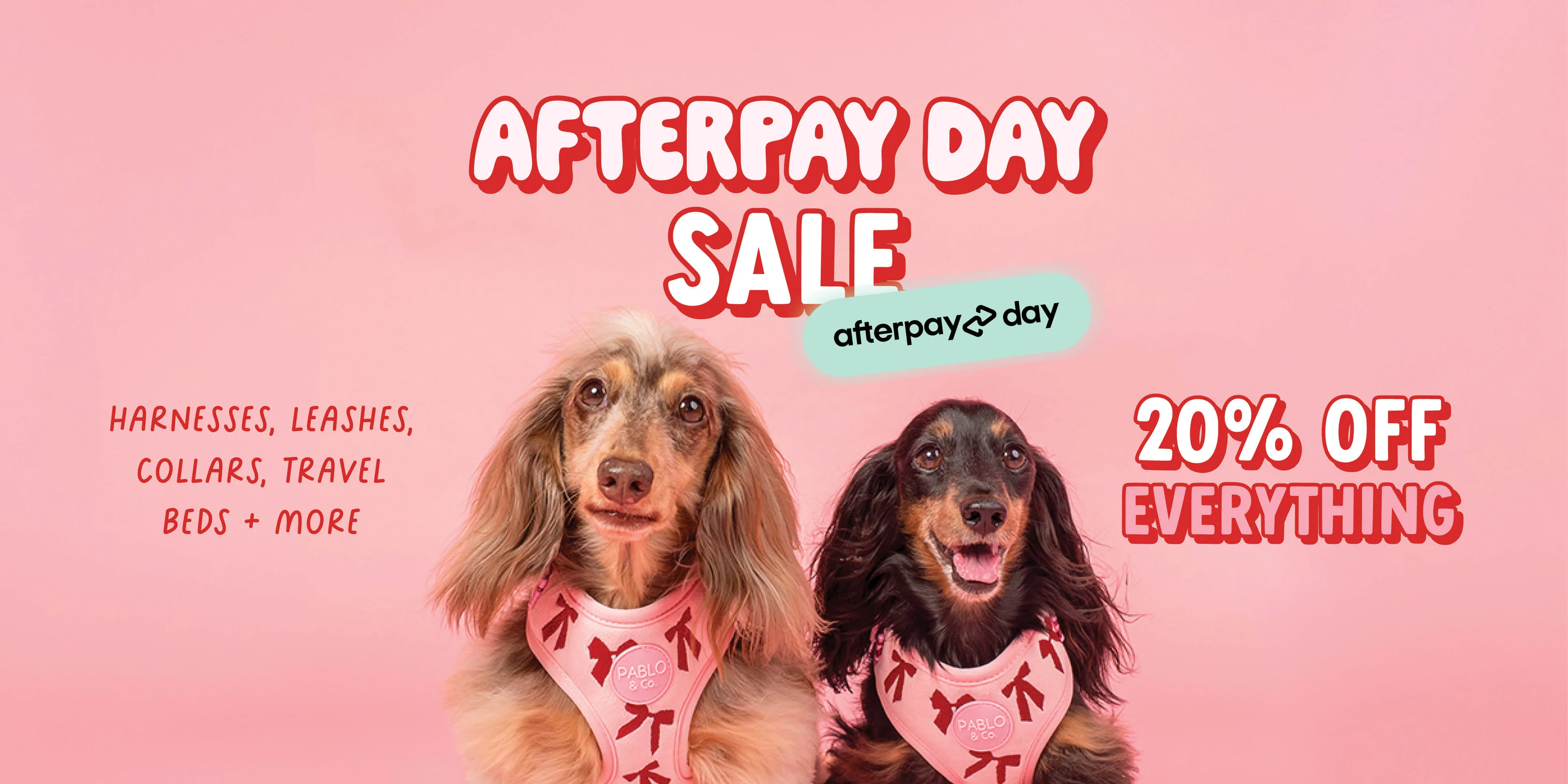 Quirky Style for Furry Friends