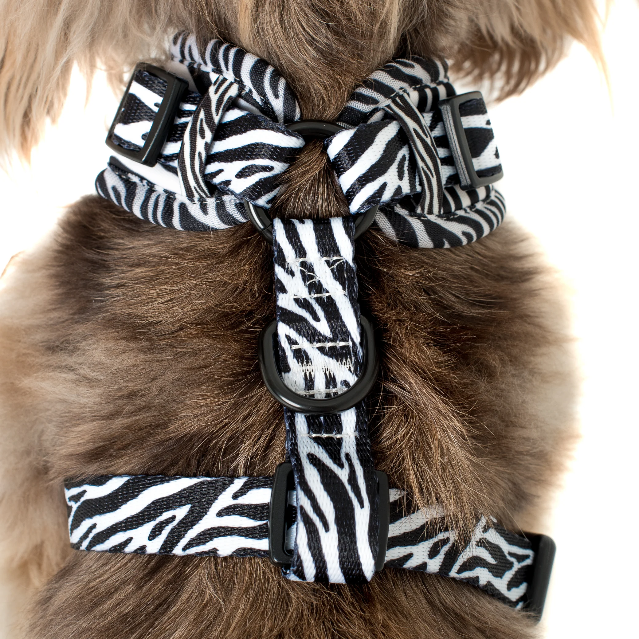 Black & White Zebra: Adjustable Harness - Image 3
