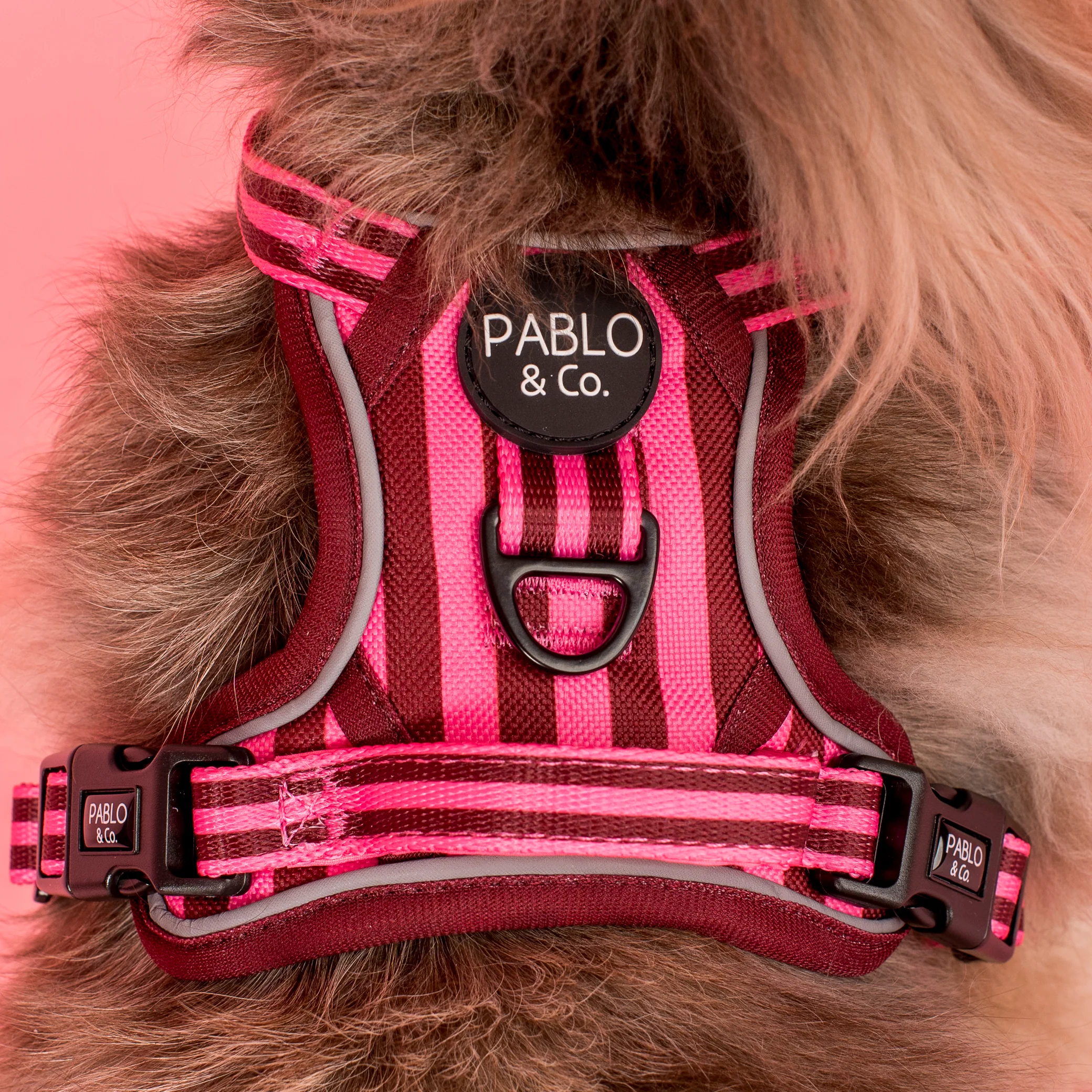 Blushing Stripes: No Pull Adventure Harness - Image 4