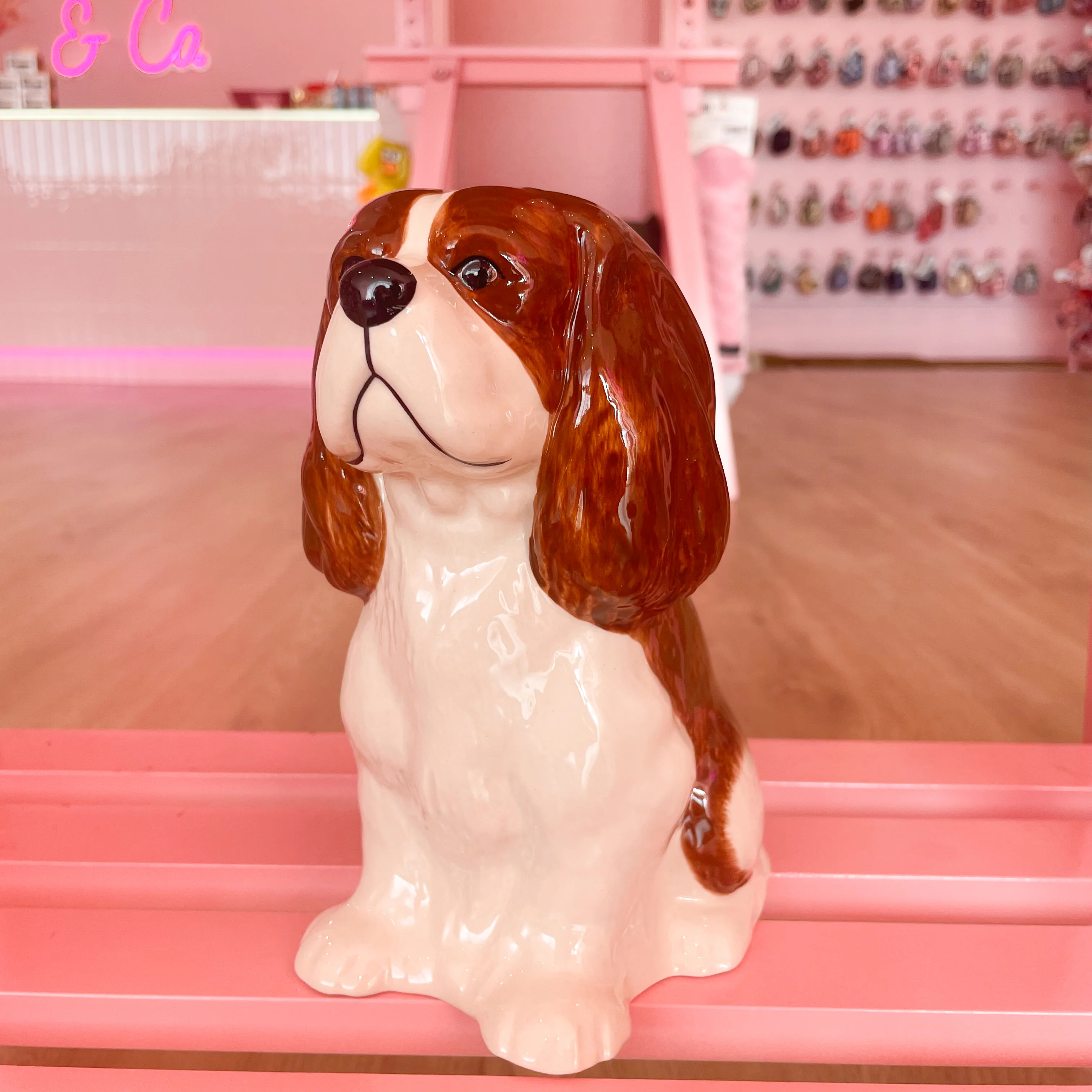 Ceramic Dog Money Box - Image 11