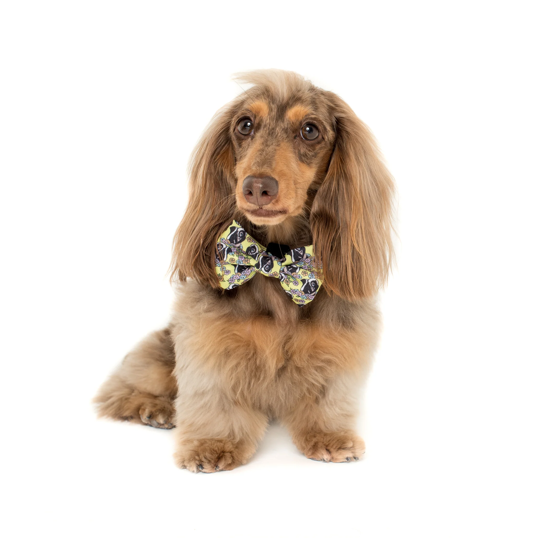 Flower the Skunk: Bow Tie - Image 3