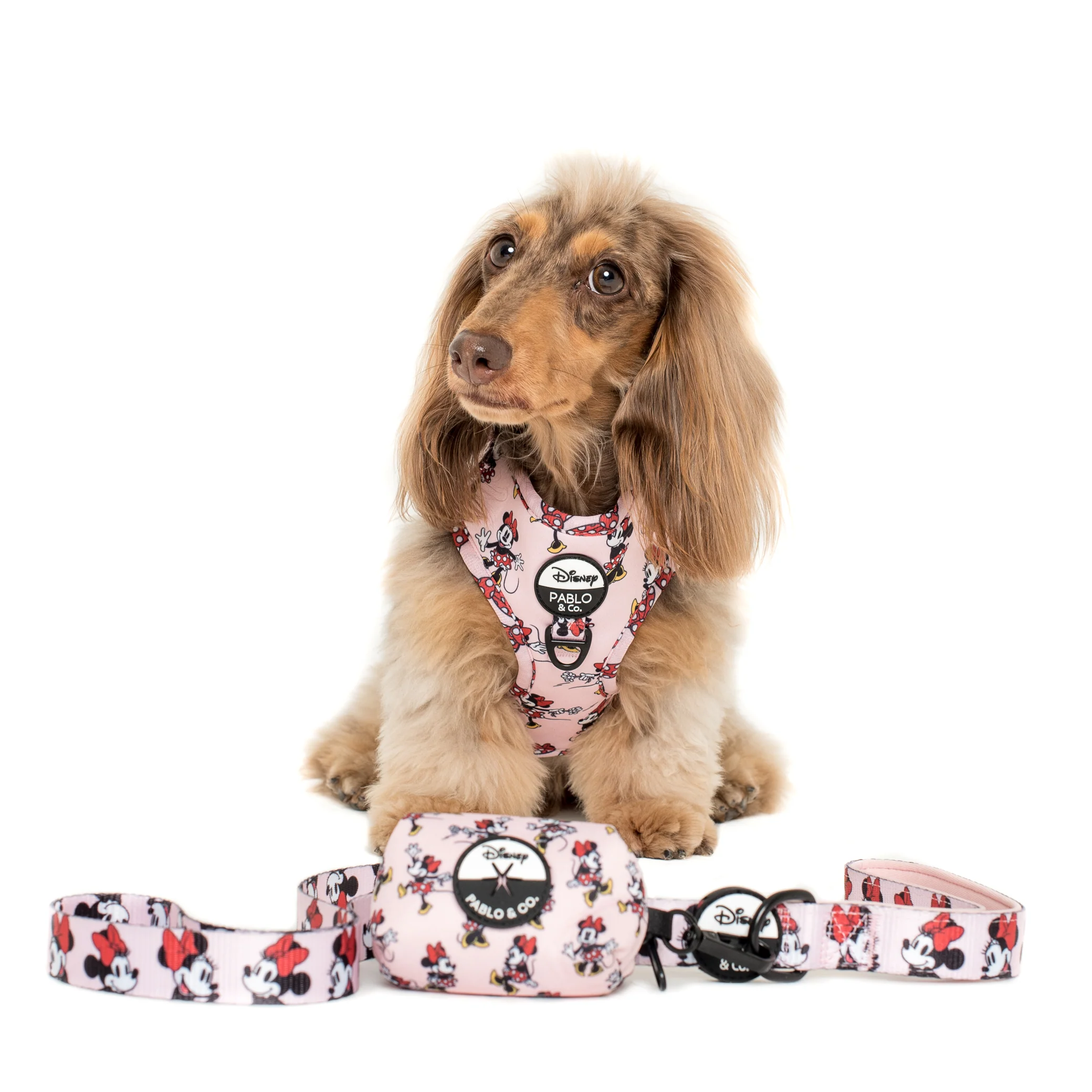 Minnie Mouse & Flowers: Adjustable Harness - Image 5