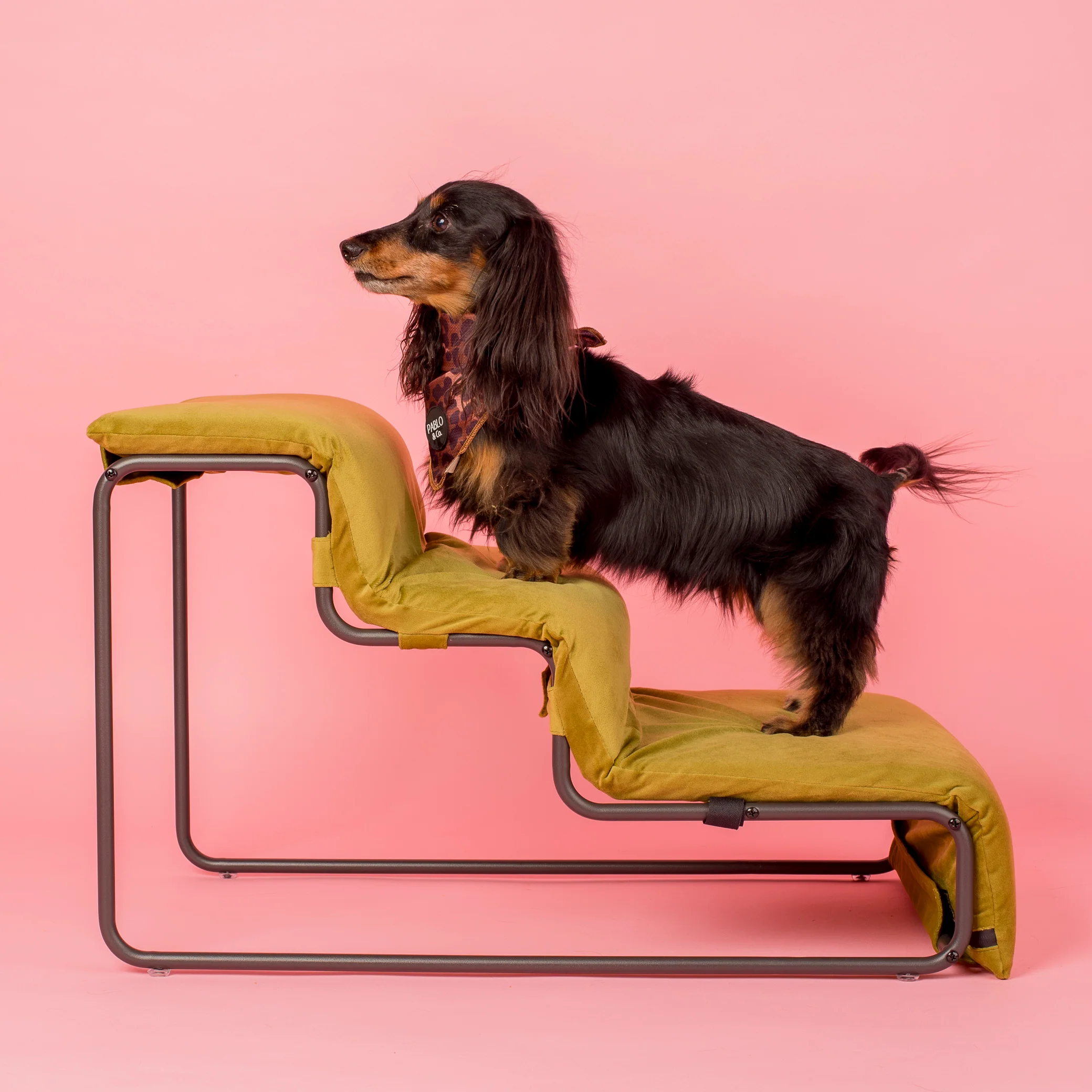 Pet Stairs for Cats & Dogs - Pistachio - Image 5