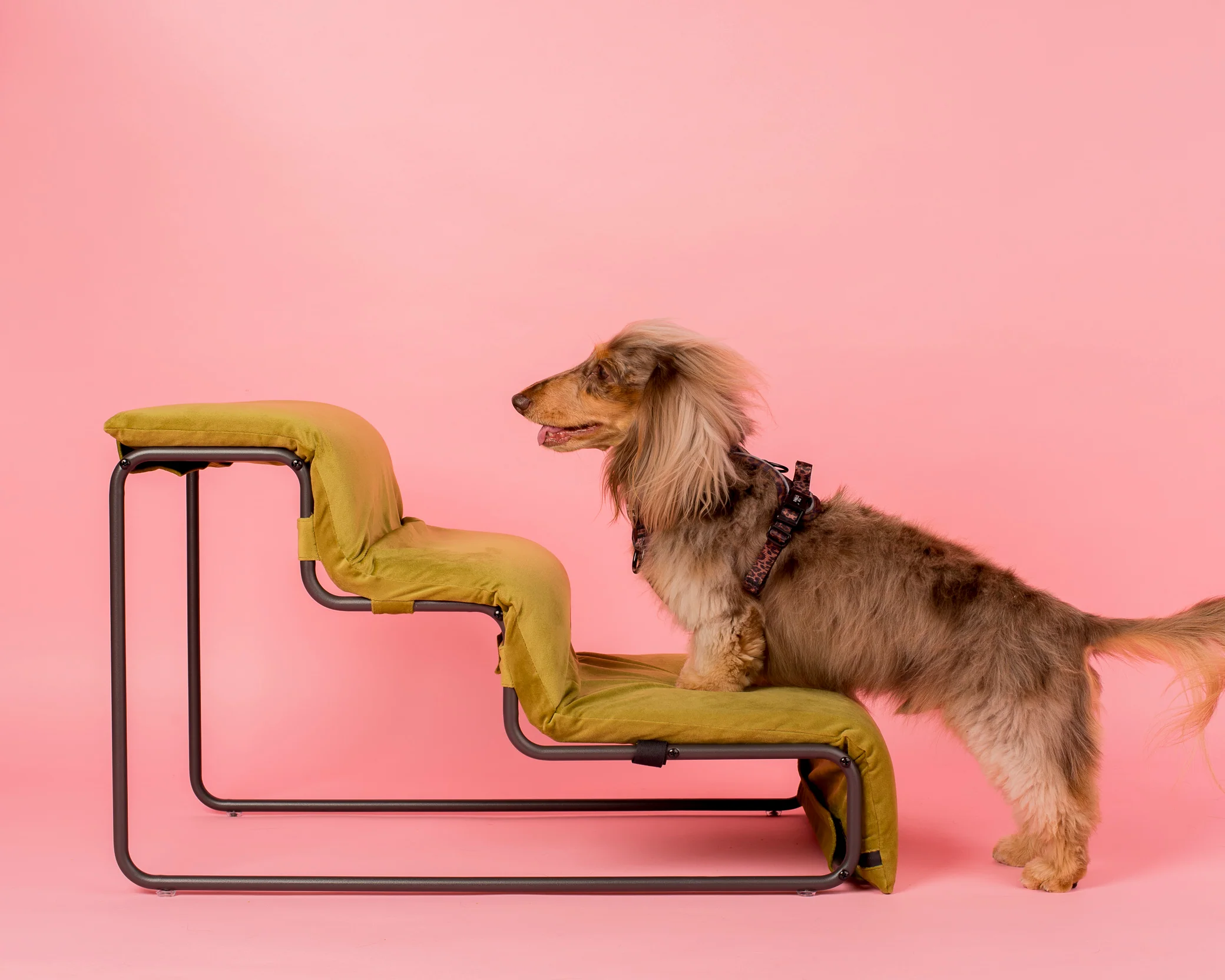Pet Stairs for Cats & Dogs - Pistachio - Image 6