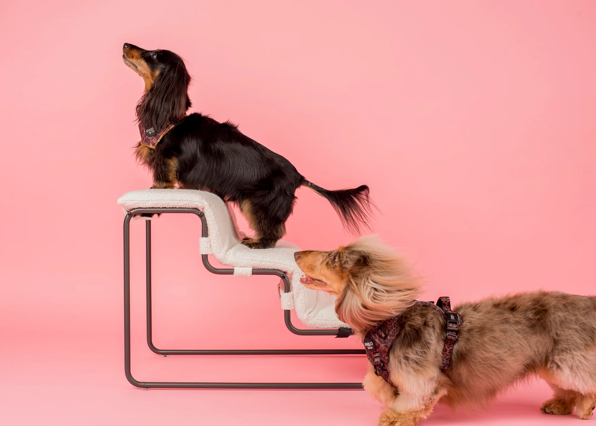 Pet Stairs for Cats & Dogs - White Boucle - Image 5