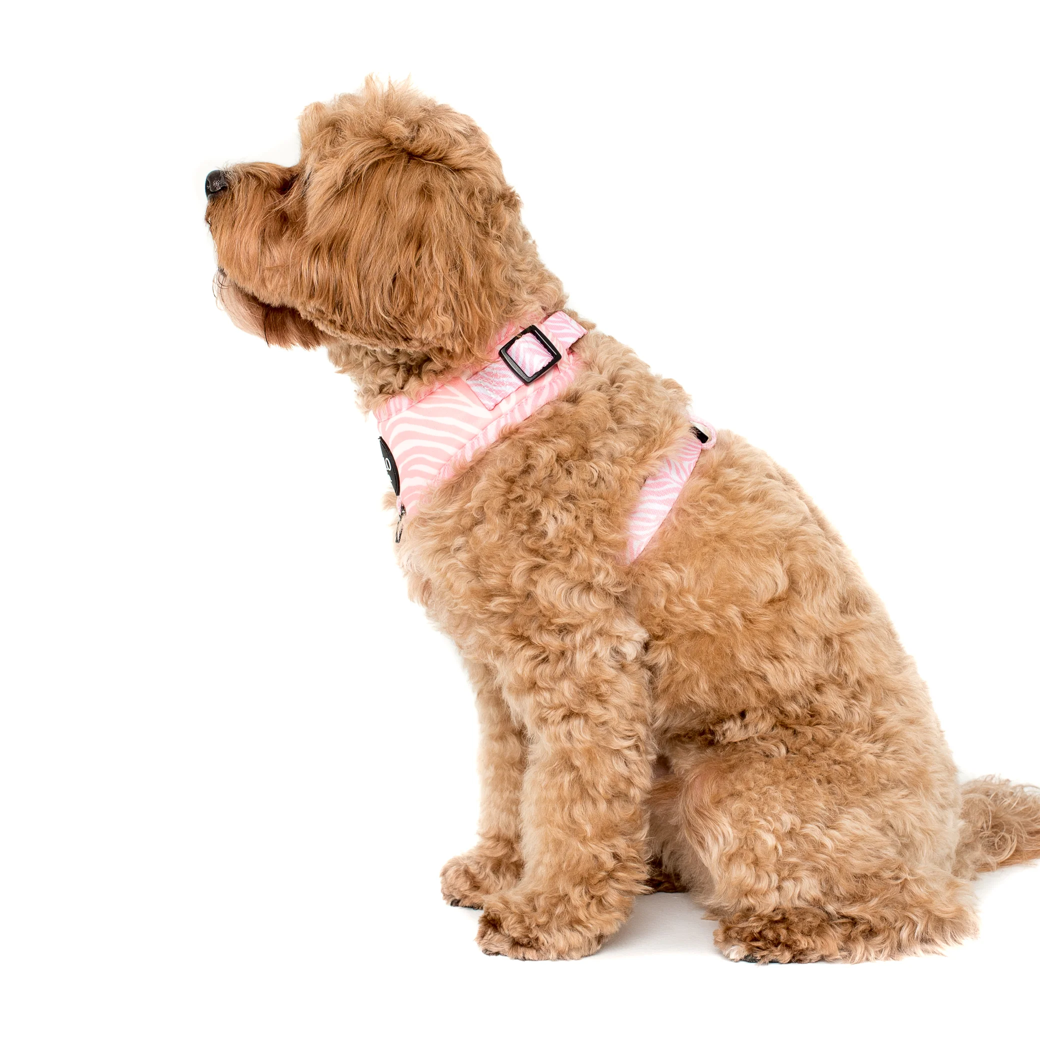 Pink Zebra: Adjustable Harness - Image 3