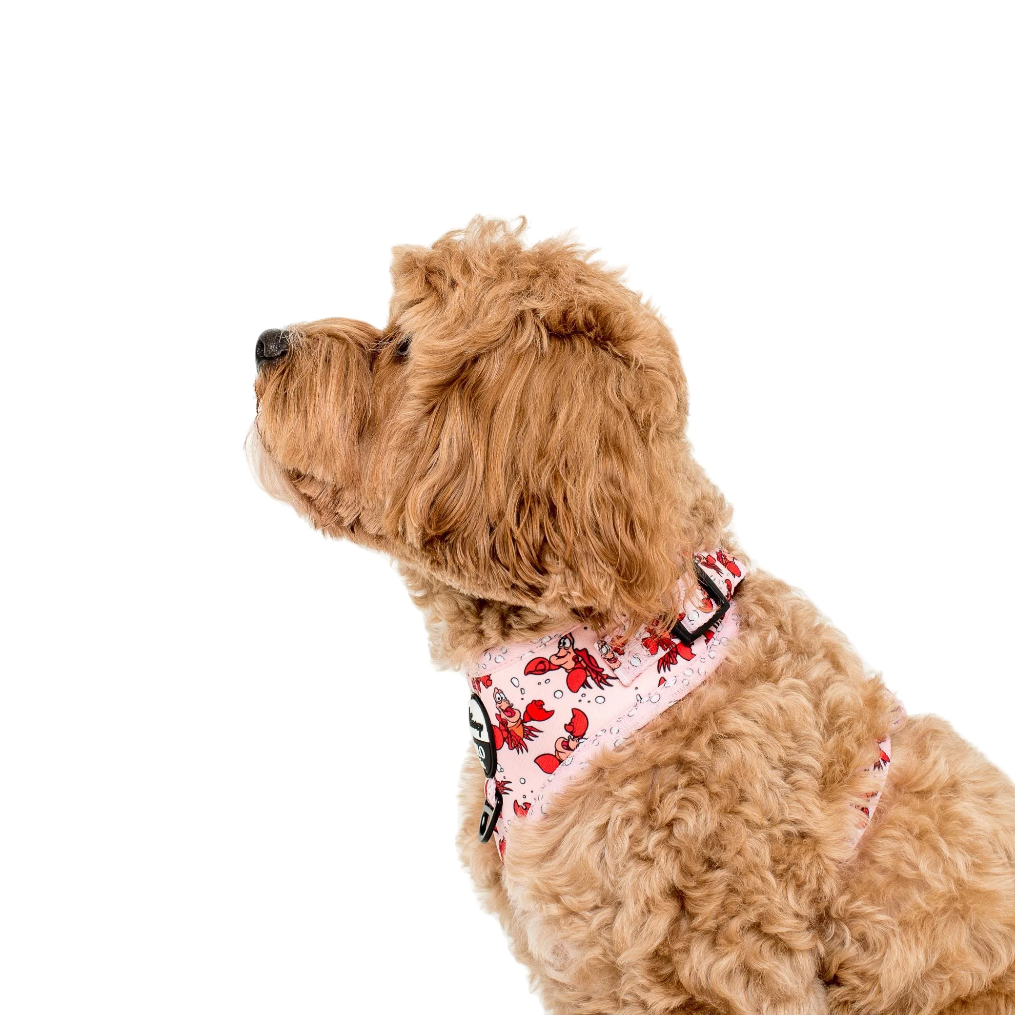 The Little Mermaid - Sebastian: Adjustable Harness - Image 6