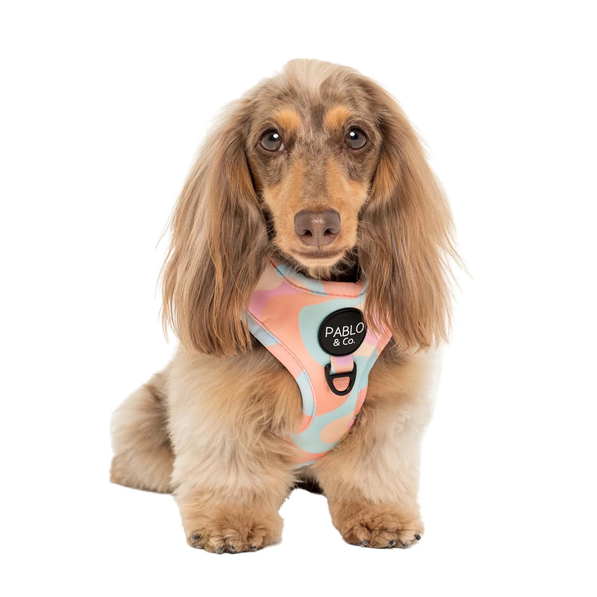 Wavy: Adjustable Harness - Image 3