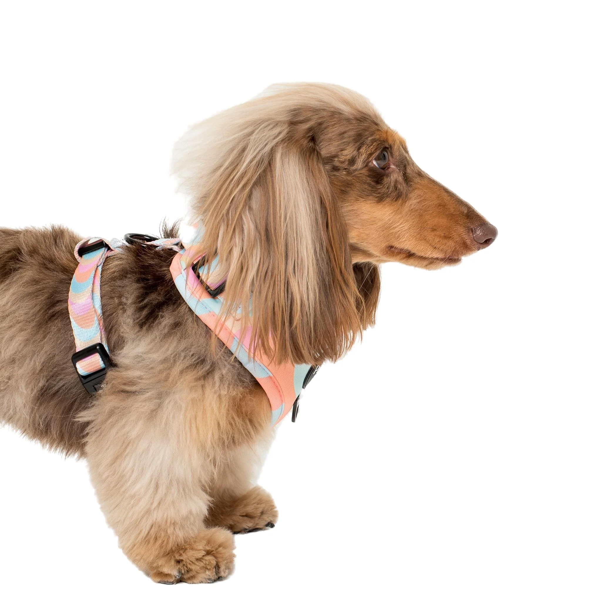 Wavy: Adjustable Harness - Image 5