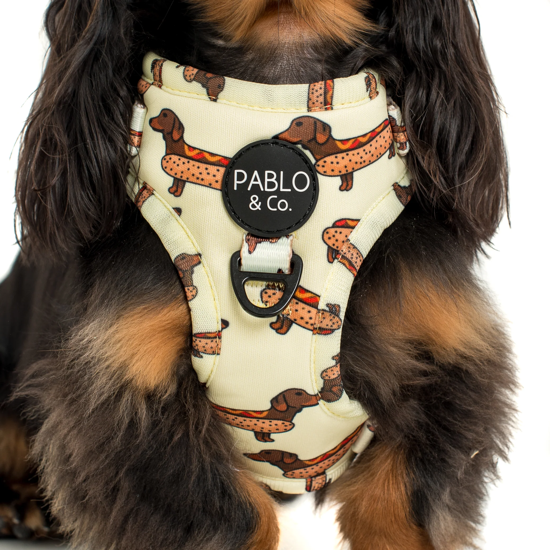 Wiener Dogs: Adjustable Harness - Image 3