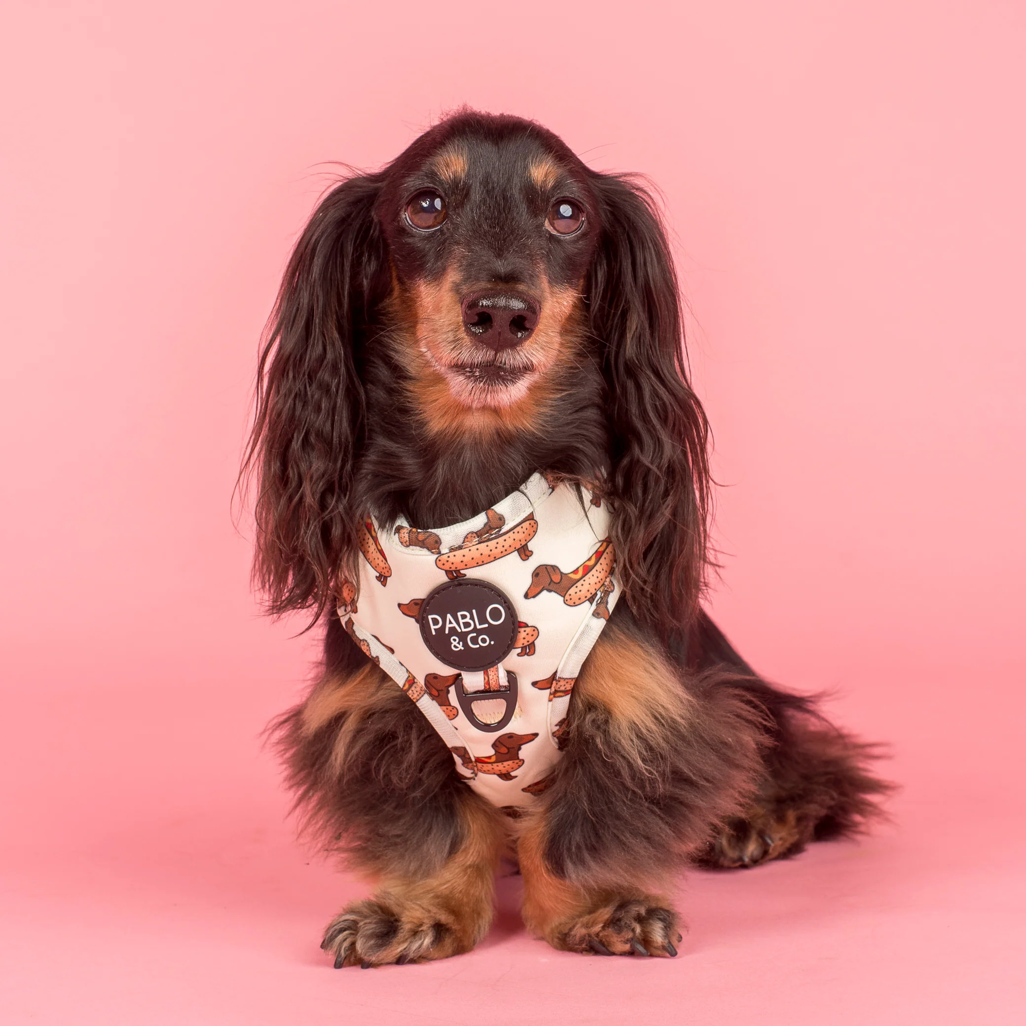 Wiener Dogs: Adjustable Harness - Image 6
