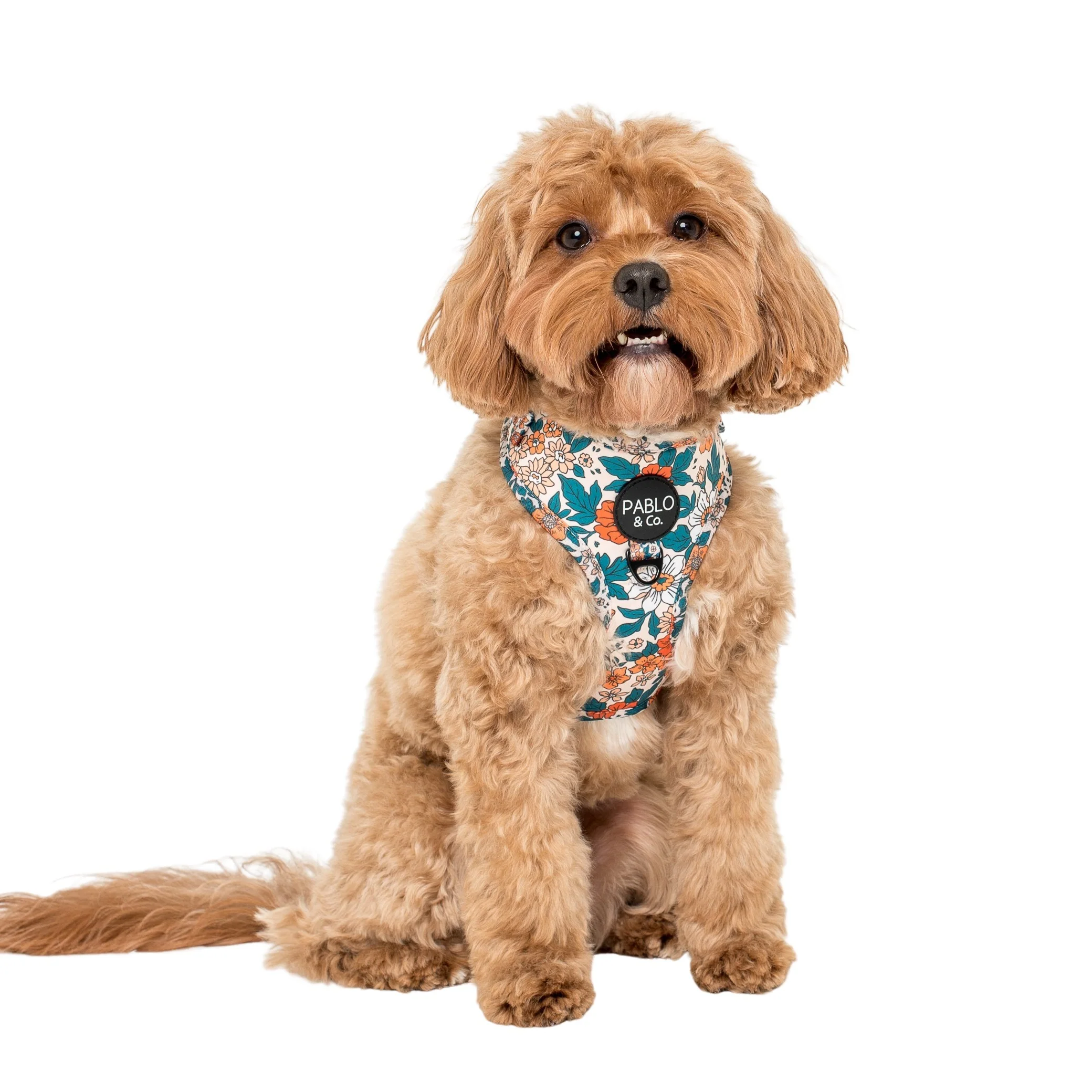 Wildflowers: Adjustable Harness - Image 4