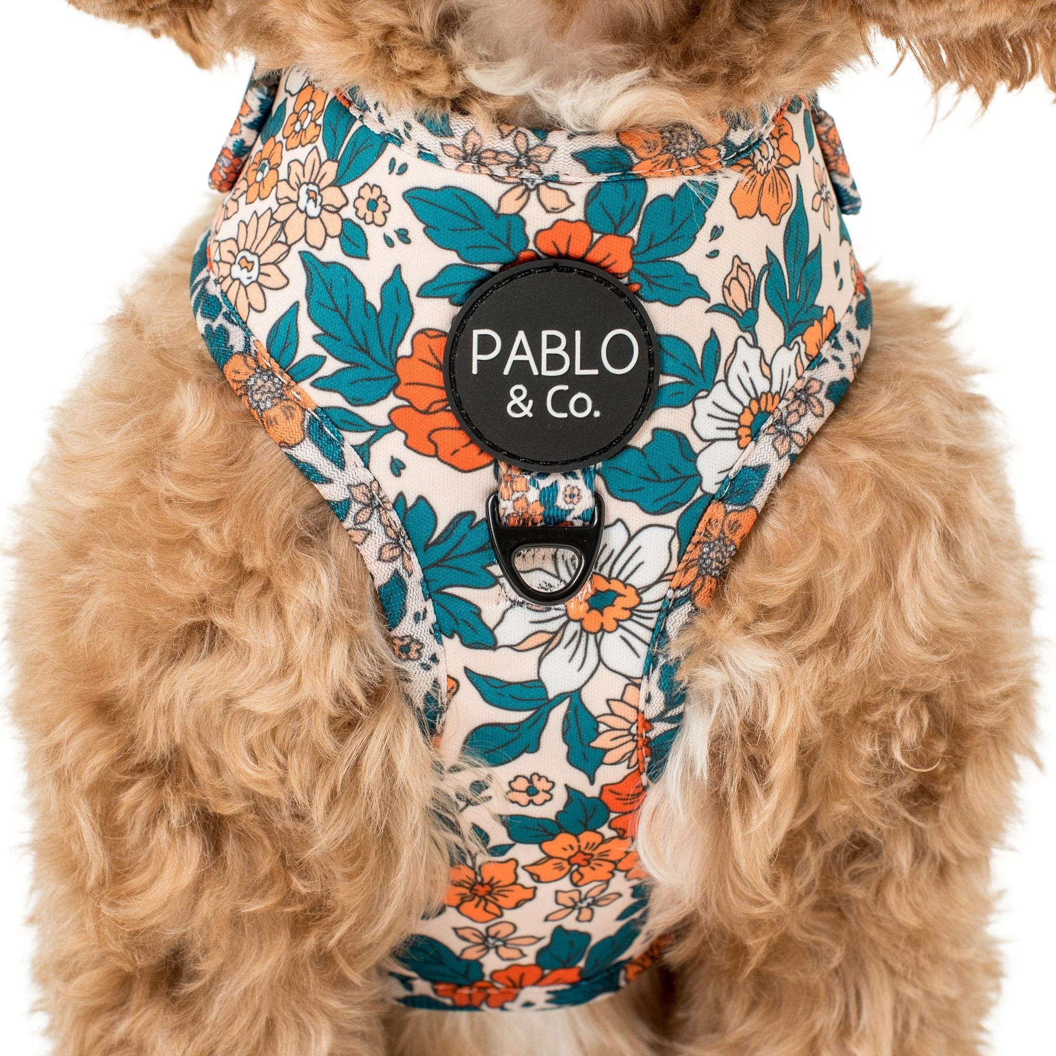 Wildflowers: Adjustable Harness - Image 5