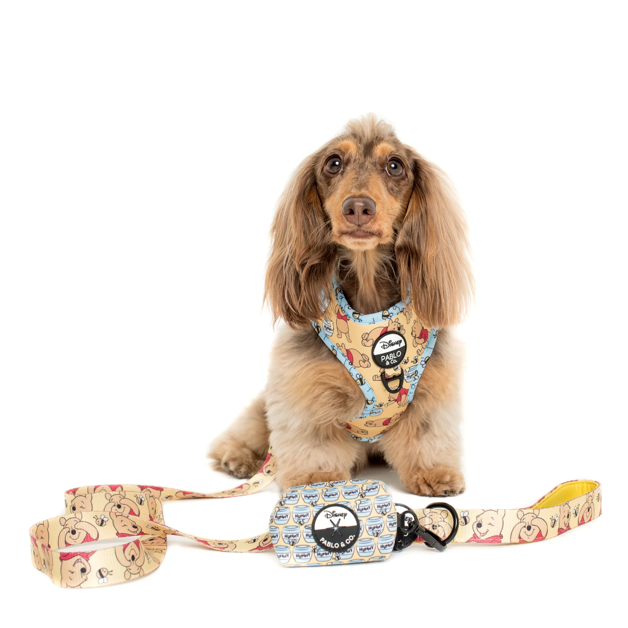Winnie the Pooh & Bee's: Adjustable Harness - Image 10