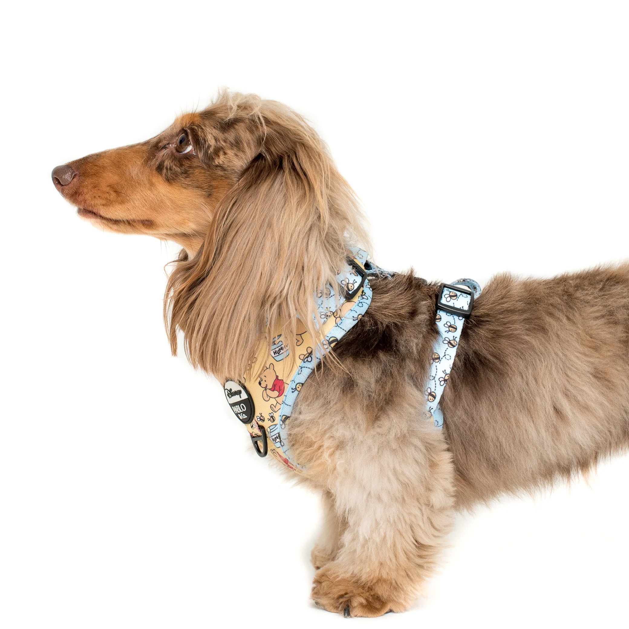 Winnie the Pooh & Bee's: Adjustable Harness - Image 4