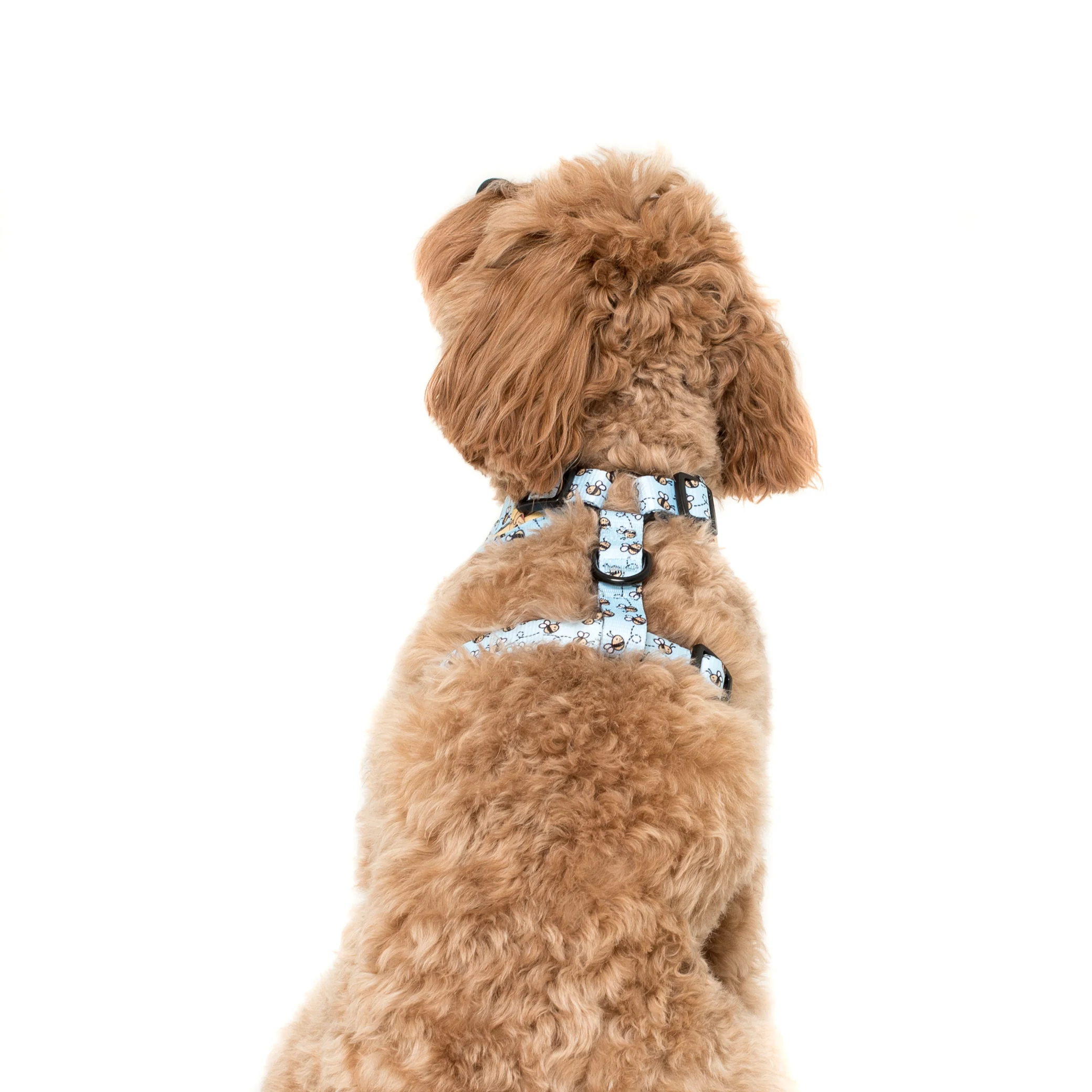 Winnie the Pooh & Bee's: Adjustable Harness - Image 9